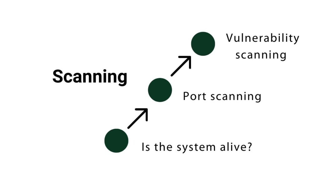ethical hacker in scanning phase starts with figuring out if the target system is alive, then they scan the ports of the target system and then they find find out the vulnerabilities of the system