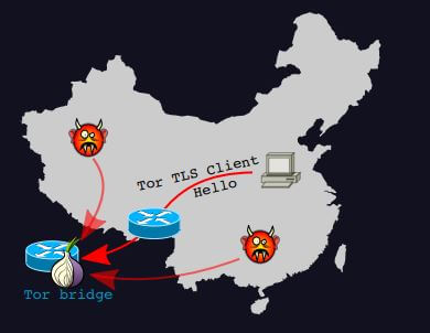 Malicious users attacking the Tor Bridge using the Denial of Service Attack